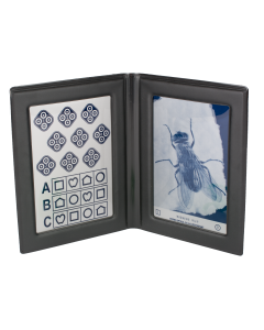 LEA Stereo -Test FLIEGE