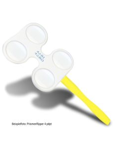 Beispielfoto Prismenflipper 4 pdpt